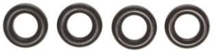 Fuel Injector O-Ring Kit MAHLE Clevite GS33981