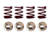 Drum Brake Hold Down Spring Raybestos Brakes H1163