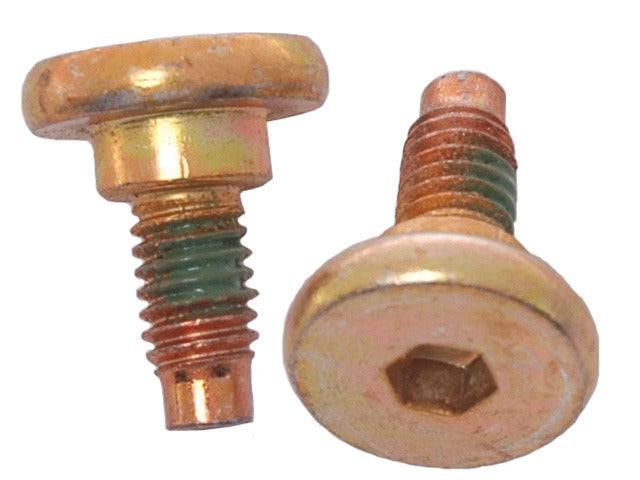 Disc Brake Caliper Bolt Kit Raybestos Brakes H5019W