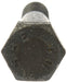 Screw Dorman 461-670BX