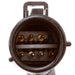 Fuel Pump Hanger Assembly Delphi HP10135