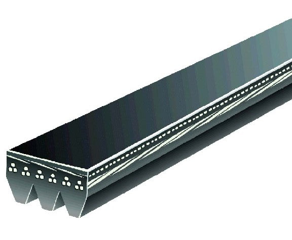 Serpentine Belt Gates K030338