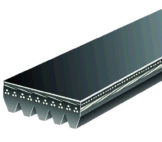 Serpentine Belt Gates K050433