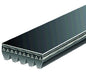 Serpentine Belt Gates K050433