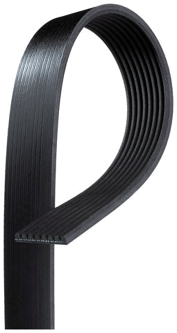 Serpentine Belt Gates K081294