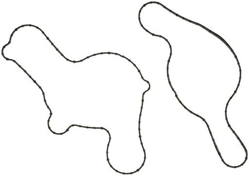 Engine Water Pump Gasket MAHLE Clevite K32199