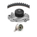 Engine Timing Belt Kit with Water Pump Dayco WP130K1A