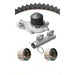Engine Timing Belt Kit with Water Pump Dayco WP246K1A