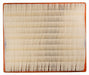 Engine Air Filter MAHLE Clevite LX 2579