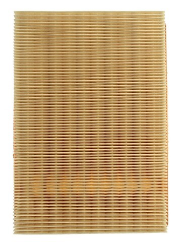 Engine Air Filter MAHLE Clevite LX 343