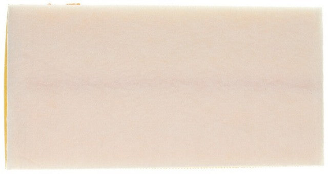 Engine Air Filter MAHLE Clevite LX 3795