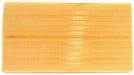 Engine Air Filter MAHLE Clevite LX 4077