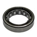 Manual Transmission Countershaft Bearing DT Components M1207EL