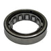 Manual Transmission Countershaft Bearing DT Components M1207EL