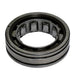 Manual Transmission Countershaft Bearing DT Components M1305GGTV