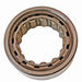 Differential Pinion Pilot Bearing DT Components M5204TV
