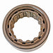 Differential Pinion Pilot Bearing DT Components M5205EL