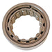 Differential Pinion Pilot Bearing DT Components M5205EL