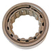 Differential Pinion Pilot Bearing DT Components M5305TV
