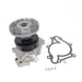 Engine Water Pump with Fan Clutch US Motor Works MCK1078