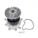 Engine Water Pump with Fan Clutch US Motor Works MCK1082