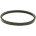 Engine Coolant Thermostat Seal MotoRad MG24EA