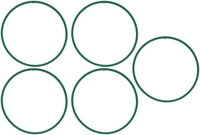 Fuel Injection Plenum Gasket Set MAHLE Clevite MS19363