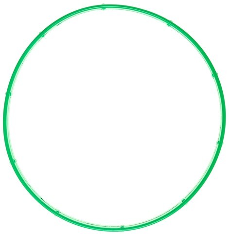 Fuel Injection Plenum Gasket MAHLE Clevite MS20593