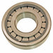 Differential Pinion Pilot Bearing DT Components MU1306TDM