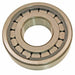 Pinion Nose Brg. DT Components MUB7309UM