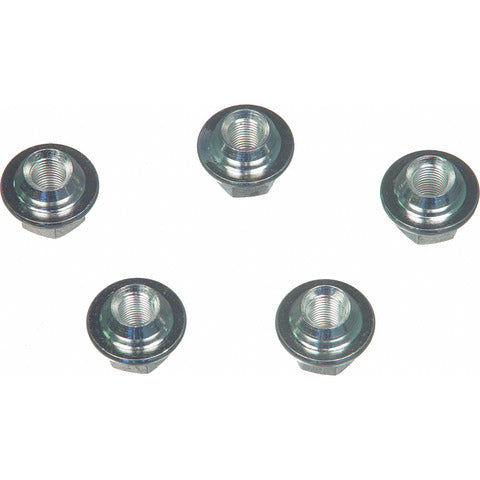 Wheel Nut Cover Wagner Brake BD61359
