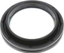 Axle Spindle Seal BCA NS710413
