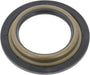 Axle Spindle Seal BCA NS710414