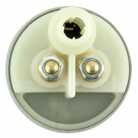 Electric Fuel Pump Carter Fuel P60293