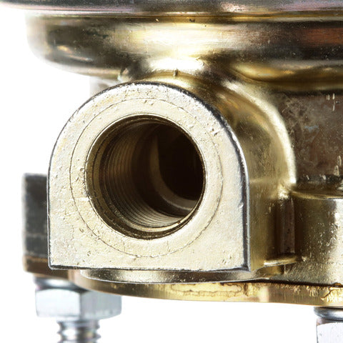 Electric Fuel Pump Carter Fuel P60898