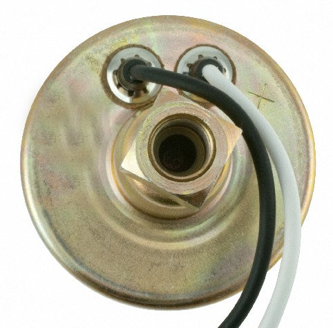 Electric Fuel Pump-Universal Carter Fuel P70235