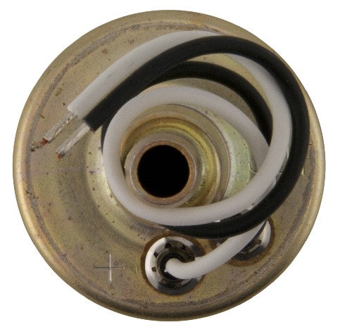 Electric Fuel Pump-Universal Carter Fuel P74019