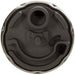 Electric Fuel Pump Carter Fuel P76068