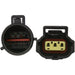 Fuel Pump Module Assembly Carter Fuel P76107M