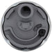 Fuel Pump and Strainer Set Carter Fuel P76211