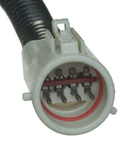 Fuel Pump Module Assembly Carter Fuel P76303M