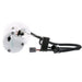 Fuel Pump Module Assembly Carter Fuel P76489M