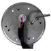 Fuel Pump Hanger Assembly Carter Fuel P76597S