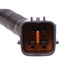Fuel Pump Hanger Assembly Carter Fuel P77400H