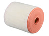 Engine Air Filter PTC PA10176