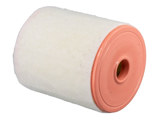 Engine Air Filter PTC PA10176