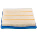 Engine Air Filter PTC PA10650