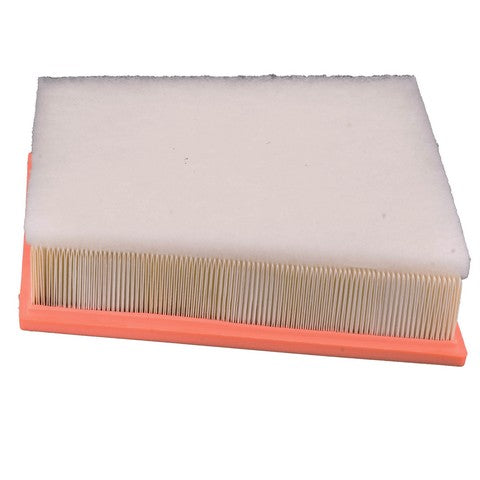Engine Air Filter PTC PA10660