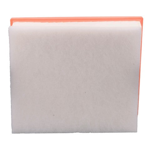 Engine Air Filter PTC PA10660