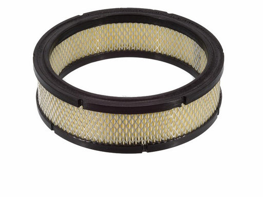 Engine Air Filter PTC PA3195